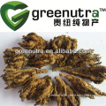 Coptis chinensis Extract